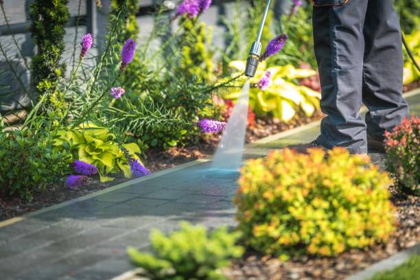 Best Animal Enclosure Cleaning  in Frent Hills, MO